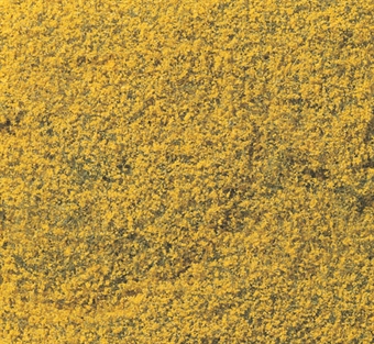 Flowering Foliage - Yellow