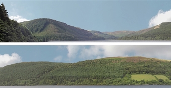 Premium 9 inch photographic backscene - "Forest hills"