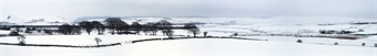 Premium 9 inch photographic backscene - "Winter Hills"