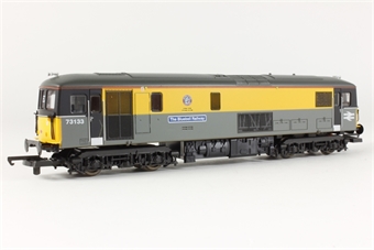 Class 73 73133 "The Bluebell Railway" in Dutch grey and yellow