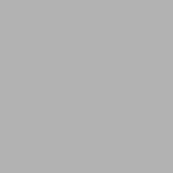 Hobby Paint, Aluminum (1 oz.)