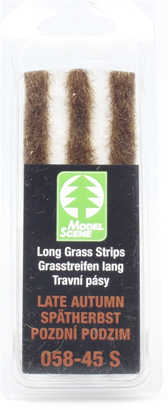 Long grass strips - late autumn