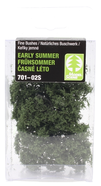 Fine bushes - early summer