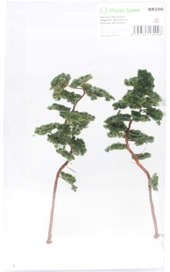 Pine trees - 180-220mm - pack of two