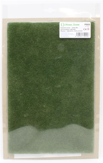 Grass mat - high grown meadow  - early summer - 280mm x 180mm