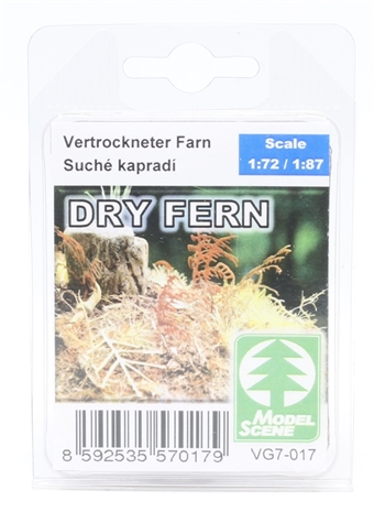 Dry fern plants - pack of two sheets