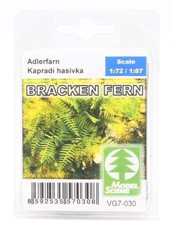 Bracken fern plants - pack of two sheets
