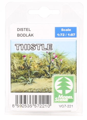 Thistles - pack of 15