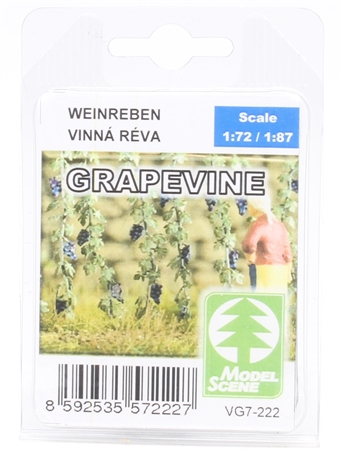 Grapevines - pack of 6