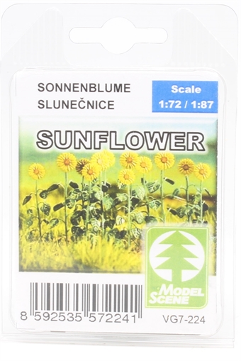 Sunflowers - pack of 12