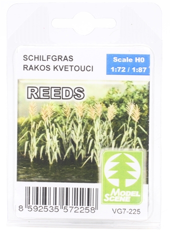 Reeds - pack of 10