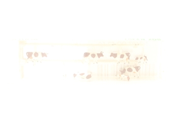 Cows (12)