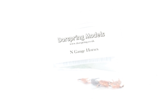 Horses (Pack of 6)