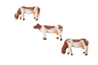 Pack of three cows