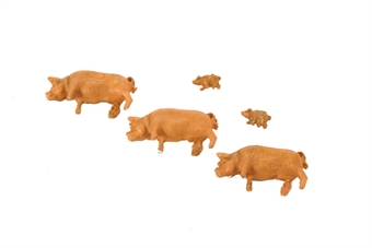 Pack of five pigs