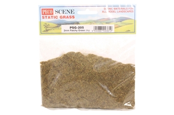 Patchy grass, static grass 2mm - 30g bag