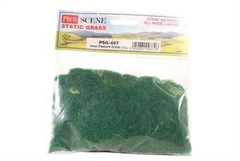 Pasture grass, static grass 4mm - 20g bag