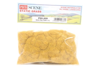 Hay field, static grass 6mm - 20g bag