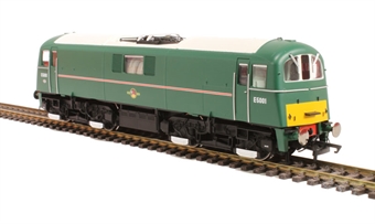 Class 71 E5001 in BR Green with small yellow panels