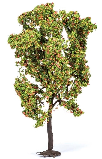 Rowan Tree (with Berries)