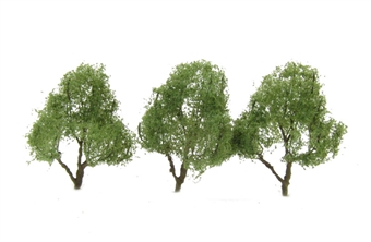 Deciduous 63mm (Pack of 3) - Professional trees