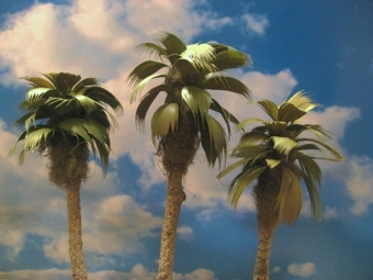 Small Palm Trees, 3-4" - pack of 3