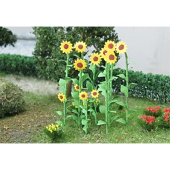 Sunflowers - pack of 16