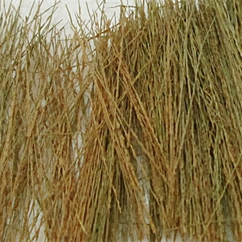 Field grass - natural brown - 15g