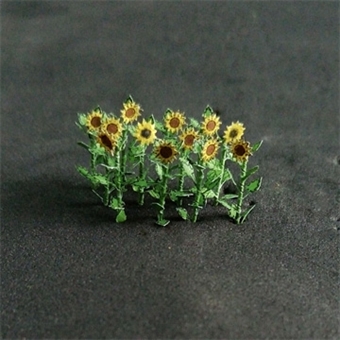 Sunflowers - pack of 14