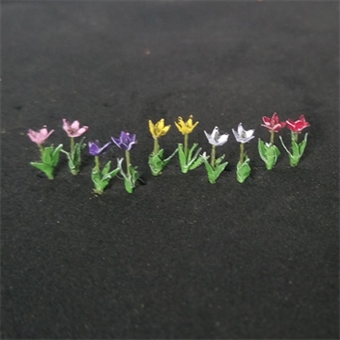 Tulip flowers - pack of 15