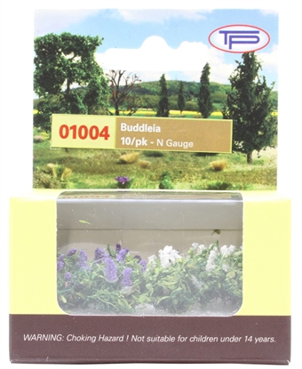 Buddleia Purple/White - 10 per pack