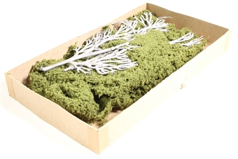 7 - 7.5" Big Old Trees - Pack Of 2