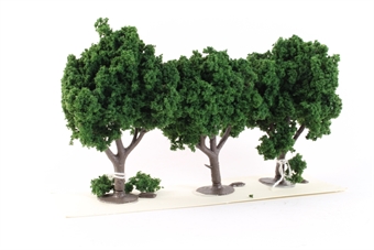 Realistic Trees