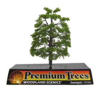 4" Sweetgum Tree - Pack Of 1