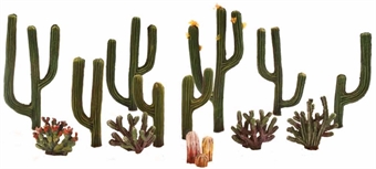 Cactus Plants - pack of 13
