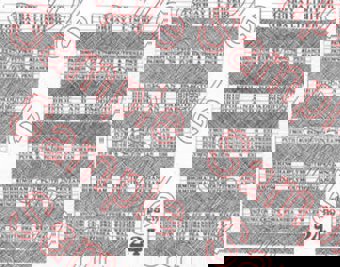 Cornish Riviera Boards 2