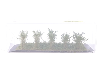 High dark green bushes - pack of 10