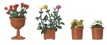 Planted Flowerpots HO scale
