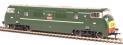 Class 43 North British (NBL) Warship D835 'Pegasus' in BR Green with Small Yellow Panel