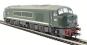 Class 45 D108 in BR Green with Split Centre Headcode (weathered)