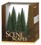 5" - 6" Pine Trees - Pack Of 6