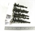 5" - 6" Conifer Trees - Pack Of 6