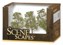 3" - 4" Sycamore Trees - Pack Of 3