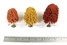 3" - 4" Autumn Deciduous Trees - Pack Of 3