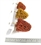 3" - 4" Autumn Deciduous Trees - Pack Of 3