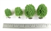 2"- 3" Deciduous Trees - Pack Of 4
