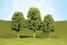 2"- 3" Deciduous Trees - Pack Of 4
