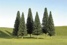 8" - 10" Pine Trees - Pack Of 3