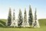 8" - 10" Pine Trees With Snow - Pack Of 3
