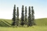 8" - 10" Conifer Trees - Pack Of 3